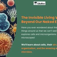 PPT The Invisible Living World Beyond Our Naked Eye - Class 8
