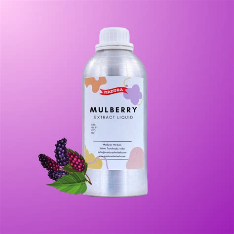 Mulberry Extract Liquid – Madurasherbals
