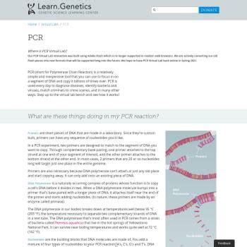 Virtual PCR Simulator 的图像结果