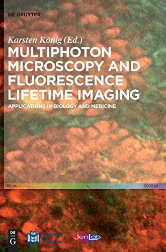 Buy Multiphoton Microscopy and Fluorescence Lifetime Imaging ...