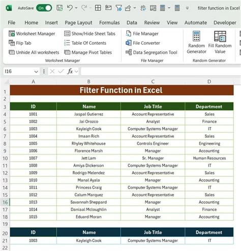Image result for Excel Filter Formula Examples