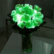Image result for Glowing Flowers