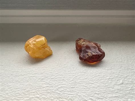 Rav-jagt langs Fredericias kyst , Øster Voldgade 15, 7000 Fredericia ...