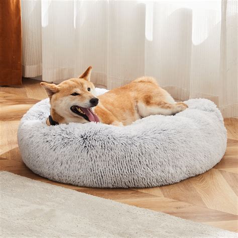 TailsnTrinkets | Cozy Beds & Smart Essentials for Pets