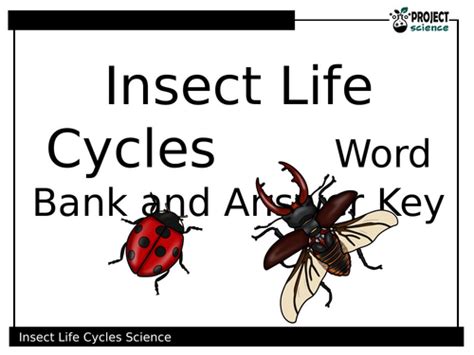 Image result for C4d Insect Walk Cycle Tutorial