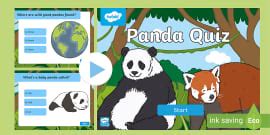 What is a Panda ? - Answered - Twinkl Teaching Wiki - Twinkl