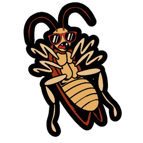 Flying Cockroach Meme 的图像结果