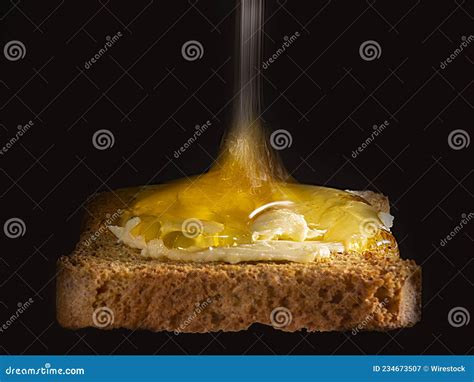 Image result for Alien Egg to Zenomorph