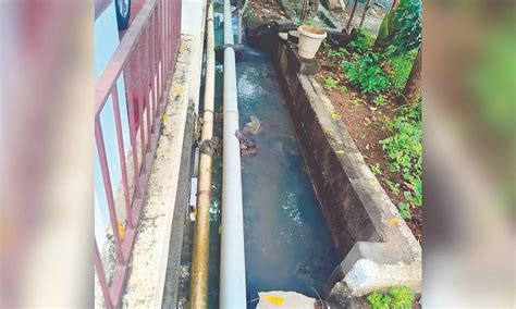 Chennai Citizen Connect: Clogged drains trigger reverse flow at ...