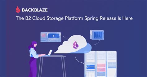 Image result for Backblaze Cloud Storage Options