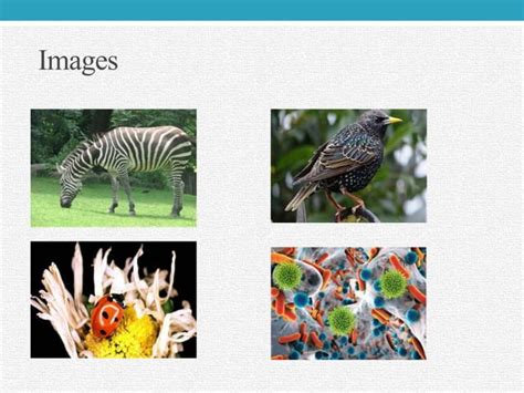 Biology Examples 的图像结果