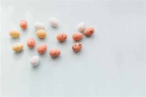 Image result for Egg Shell Shape