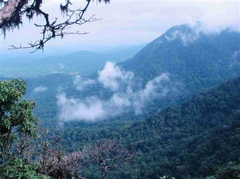 Top Hill Stations in Goa that you should Go