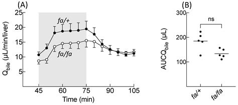Steatosis Alters the Activity of Hepatocyte Membrane Transporters in ...