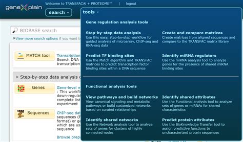 Functionality Tool 的图像结果