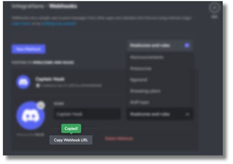 Image result for Discord Webhook Image Script
