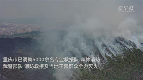 重庆发生多处山火 目前正全力扑救暂无人员伤亡_凤凰网视频_凤凰网