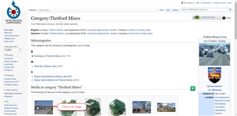 Image result for How to Use Wikimedia Commons