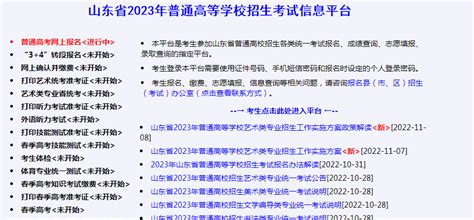 山东省2021夏季合格考成绩查询流程（附入口）- 济南本地宝