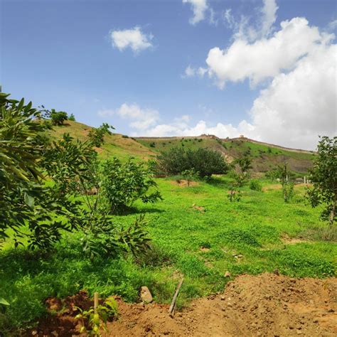 Smriti Van | Earthscapes