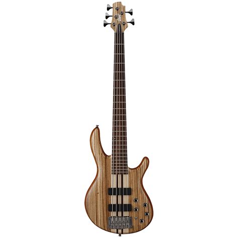 Cort A5 CUSTOM Z OPN Bass Guitar – 16th Audio