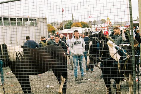 Marion Bergin - Horses - Ballinasloe Horse Fair, Ireland, 2018 For Sale ...