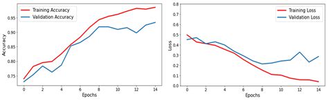 Brain Tumor Detection and Classification Using Fine-Tuned CNN with ...