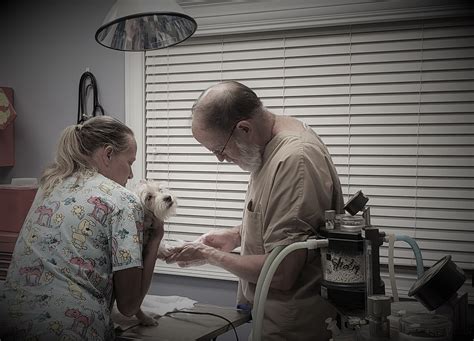 Madison Oglethorpe Animal Shelter - GuideStar Profile