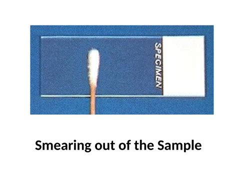 Image result for Microscope Staining