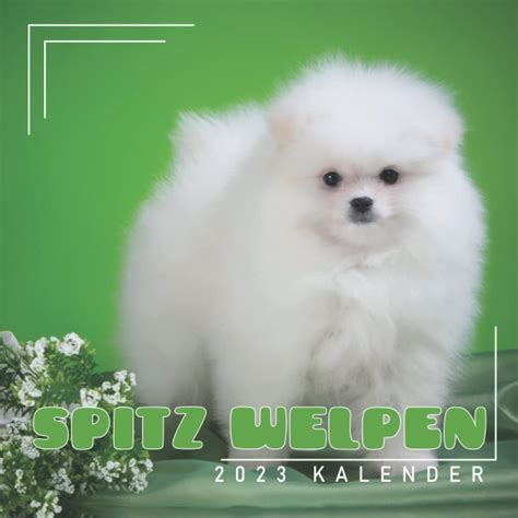 Buy Spitz Welpen Kalender: 18-Monats-Kalender von Juli 2022 bis ...