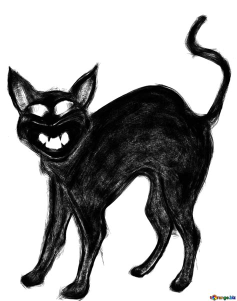 Scary Black Cat Drawing