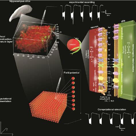 Example of Model 的图像结果