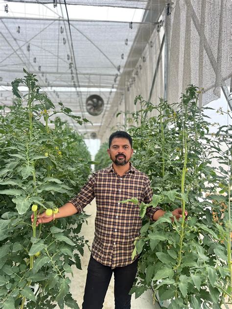 Hydroponic Farming in India | Royal Green House Construction