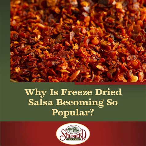 Why Is Freeze Dried Salsa Becoming So Popular? | Shepherd Foods Co ...