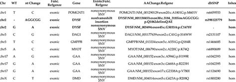Variants Library NGS 的图像结果