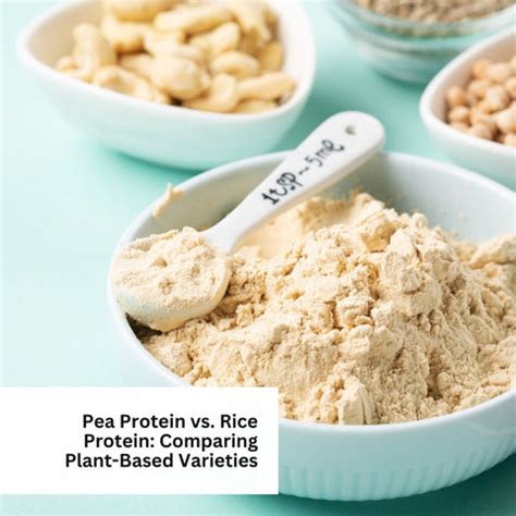 Top Protein Powders Recommended by Nutritionists | Clinikally