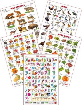 Spectrum Set of 5 Educational Large Wall Charts : ( Wild Animals ...