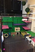 Image result for Indoor Rabbit House Ideas