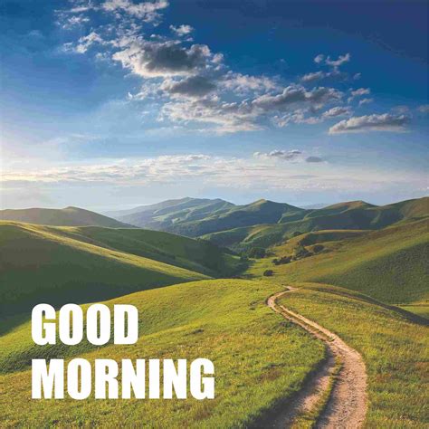 100+ Gorgeous Good Morning Images to Make You Smile