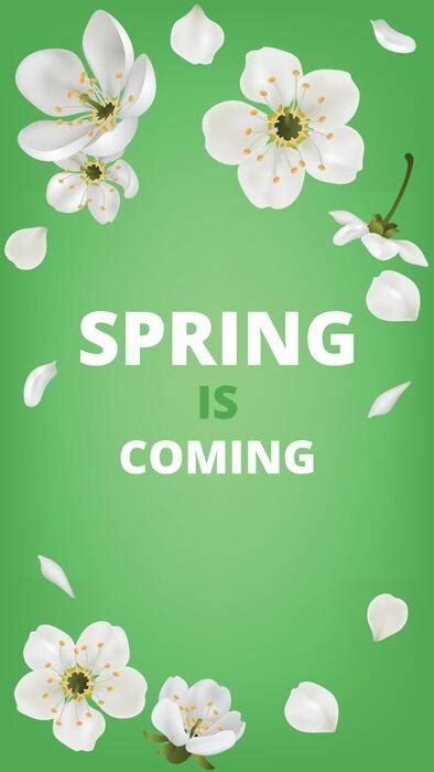 Free Flower Vector Graphics 的图像结果