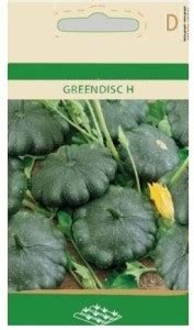 CYBEXIS Patisson Greendisc H, Green Squash Seeds400 Seeds Seed Price in ...