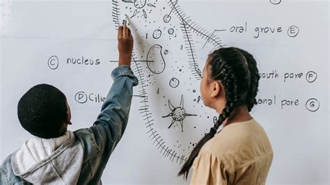 Wordplay in Science! Discovering the Hidden Meanings of Scientific Words