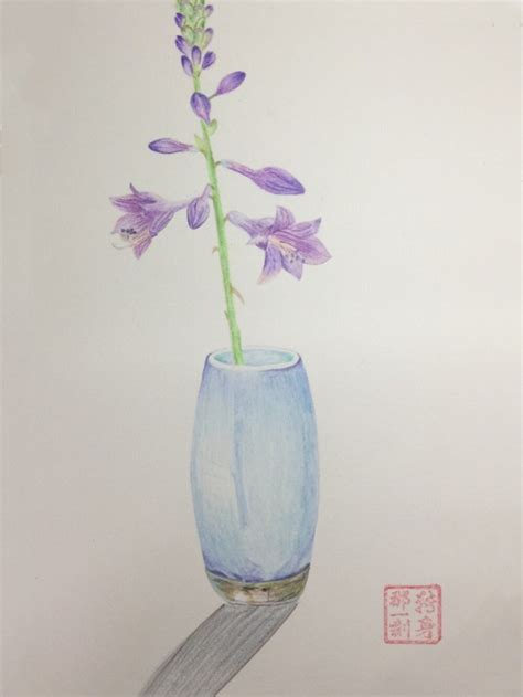 彩铅手绘 的图像结果