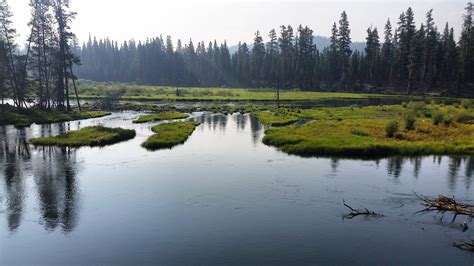 It's beaver survey season! 🍂 Our teams of trained community scientists ...