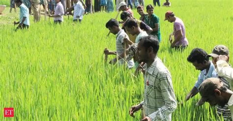 MHA using Burdwan blast to tarnish muslims: Jamat-Ulema-e-Hind - The ...