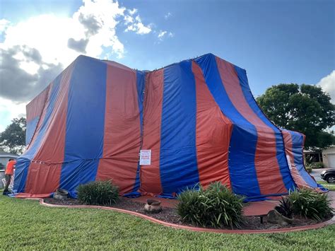 Termite Control in Miami Beach, FL - Bye Bye Termite Pest Control