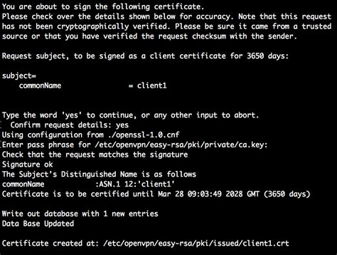 Raspberry Pi OpenVPN Client 的图像结果