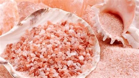 Vrlo je bogata hranjivim tvarima koje ostaju nepromijenjene jer se ne ...