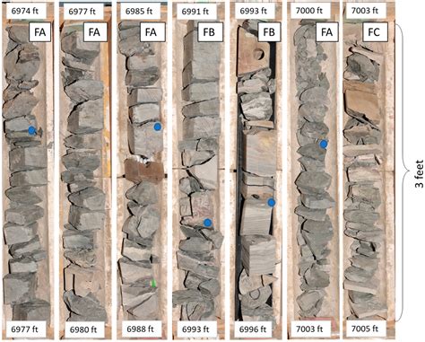 The Palaeocene Lista Shale: A Planned Carbon Capture and Storage Top ...