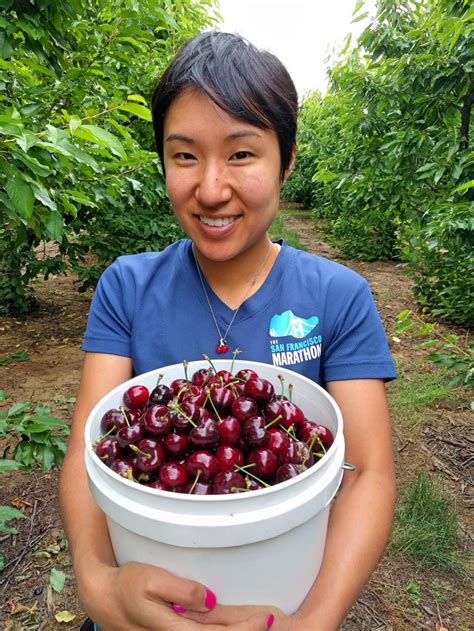 Tips for Cherry Picking Season in Brentwood, California